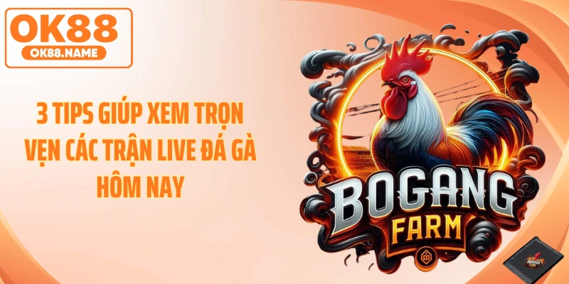 3 Tips giúp xem trọn vẹn các trận live đá gà hôm nay