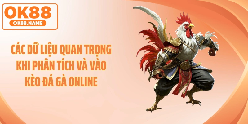 Các dữ liệu quan trọng khi phân tích và vào kèo đá gà online