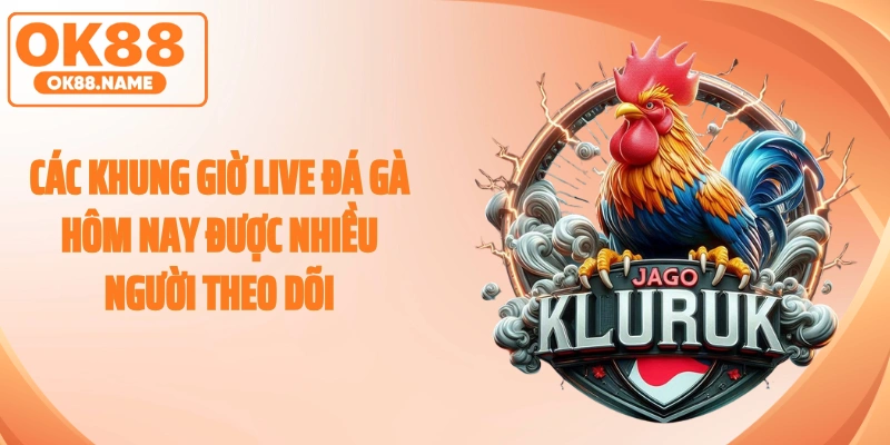 Các khung giờ live đá gà hôm nay được nhiều người theo dõi