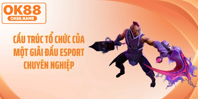 Cấu trúc tổ chức của một giải đấu Esport chuyên nghiệp