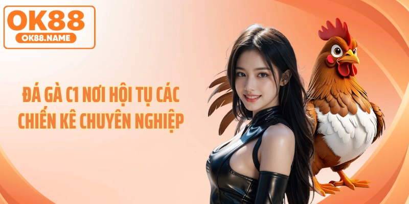 Đá gà C1 nơi hội tụ các chiến kê chuyên nghiệp