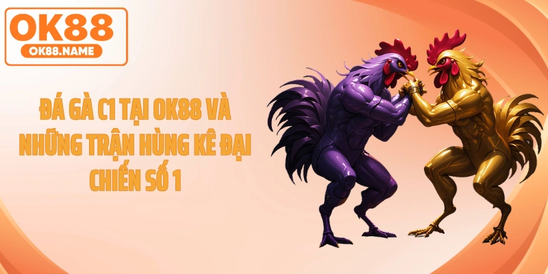 Đá Gà C1 Tại OK88 Và Những Trận Hùng Kê Đại Chiến Số 1