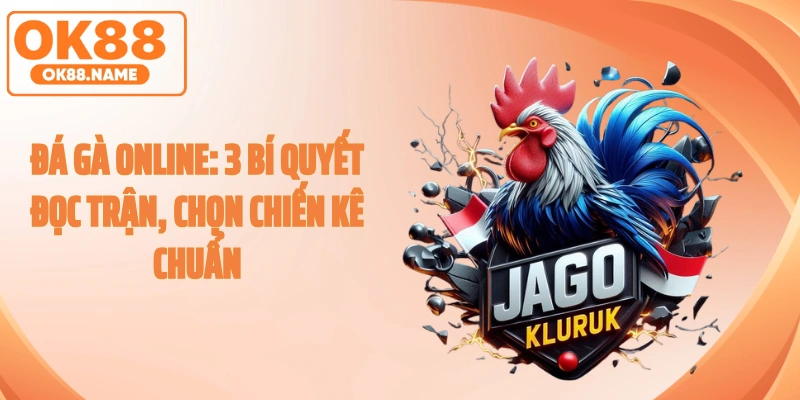 Đá Gà Online: 3 Bí Quyết Đọc Trận, Chọn Chiến Kê Chuẩn