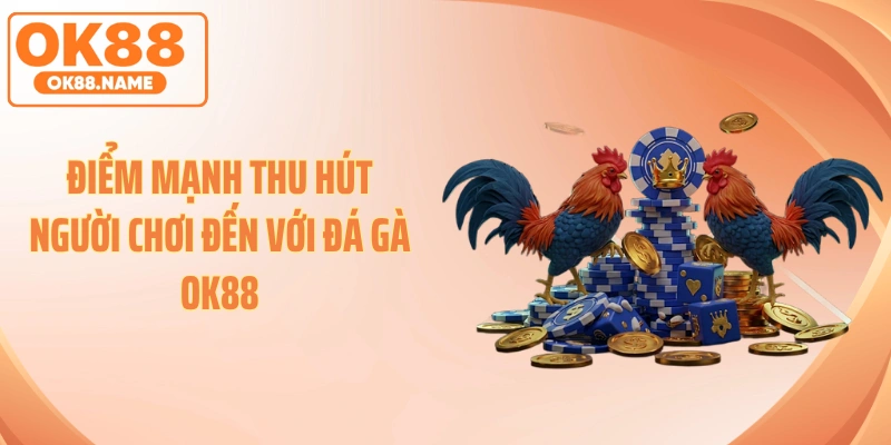 Điểm mạnh thu hút người chơi đến với đá gà OK88