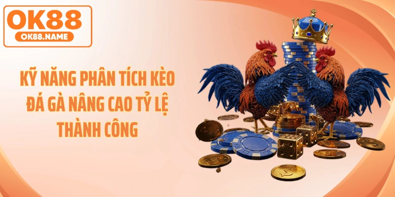 Kỹ năng phân tích kèo đá gà nâng cao tỷ lệ thành công