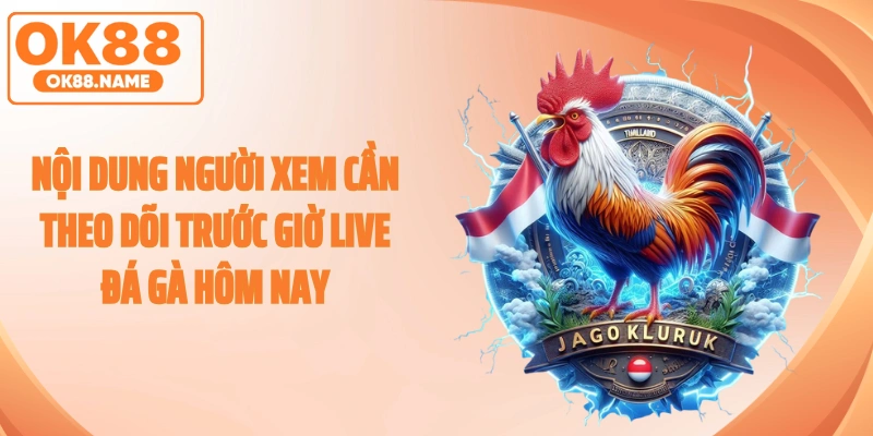 Nội dung người xem cần theo dõi trước giờ live đá gà hôm nay
