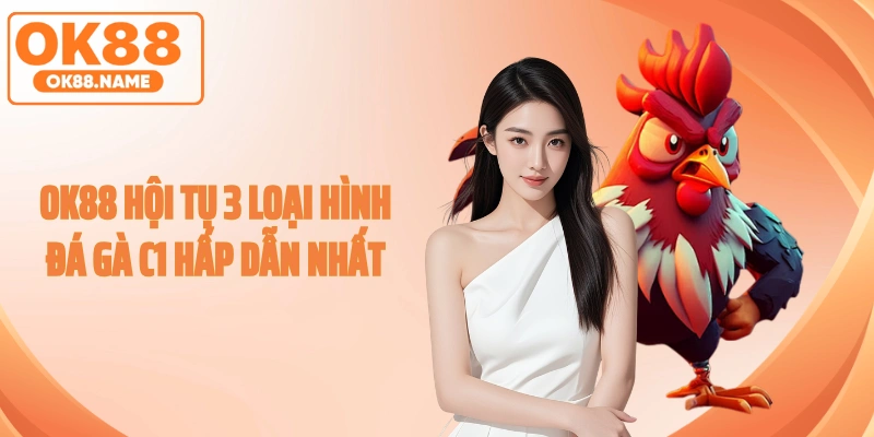 OK88 hội tụ 3 loại hình đá gà C1 hấp dẫn nhất