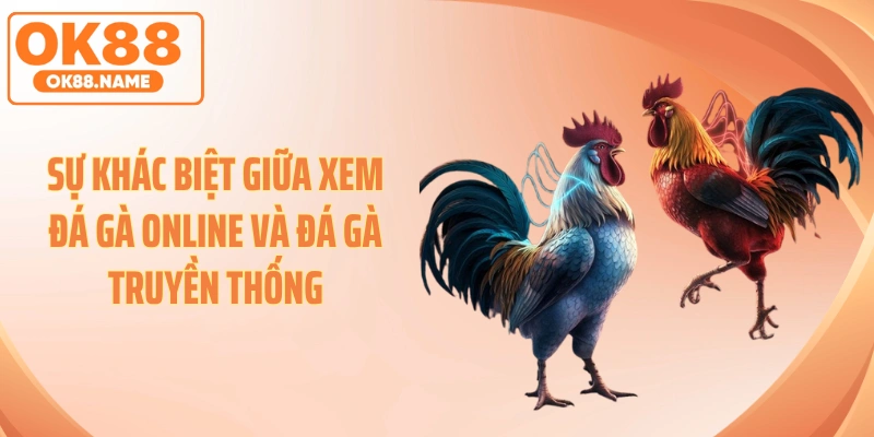 Sự khác biệt giữa xem đá gà online và đá gà truyền thống