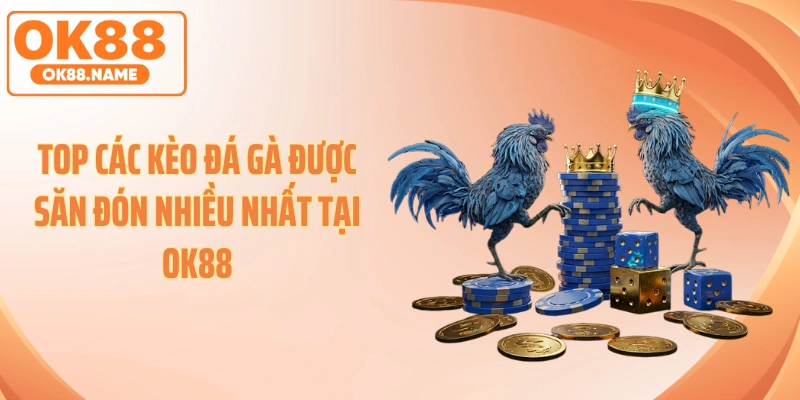 Top các kèo đá gà được săn đón nhiều nhất tại OK88