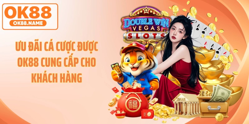 Ưu đãi cá cược được OK88 cung cấp cho khách hàng